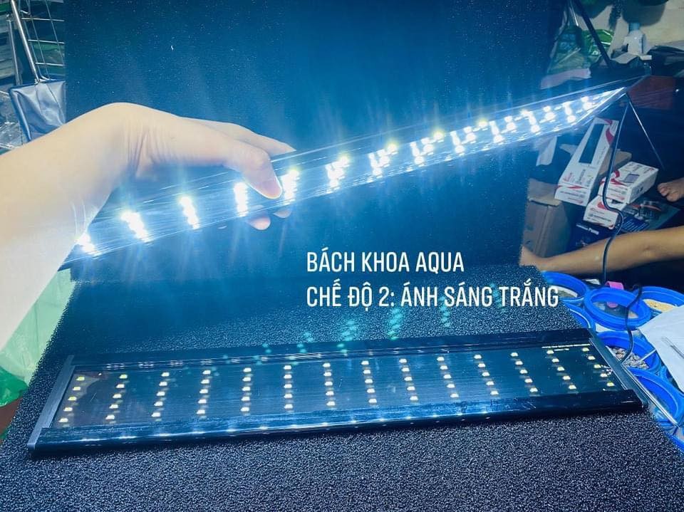 Led Quan Long 5 Hàng Siêu Sáng Đổi Màu - Ánh sáng Hồng